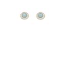 Blue Brag Stone Earrings